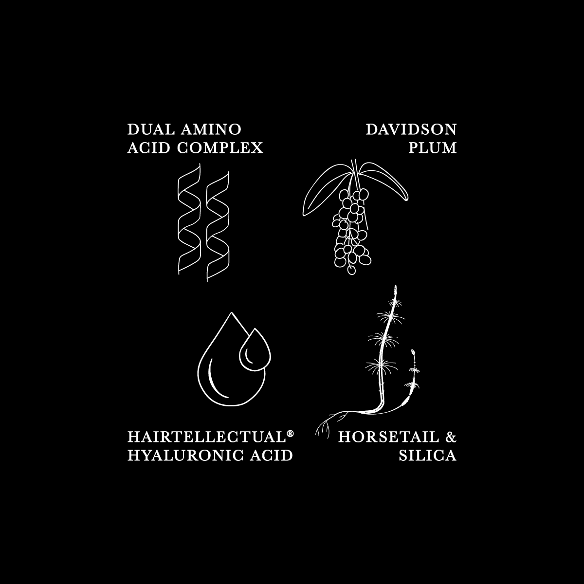 Apotecari, Mane Event, healthy hair, edible hair care, healthy, vegan, strong hair, longer hair, Crowning Glory, oily, dry, scalp, ingredients